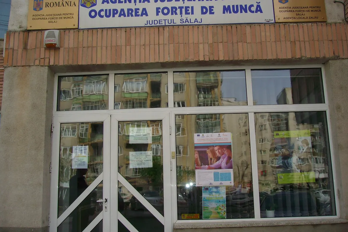 Piața muncii din Sălaj: 155 de joburi vacante