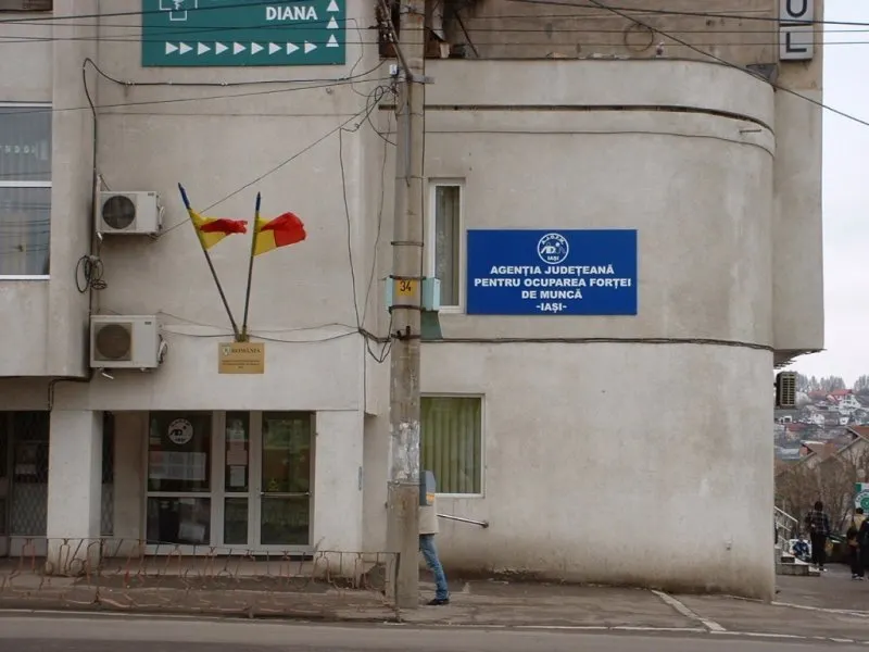 Angajatorii pot primi bani pentru elevii și studenții angajați în perioada vacanței