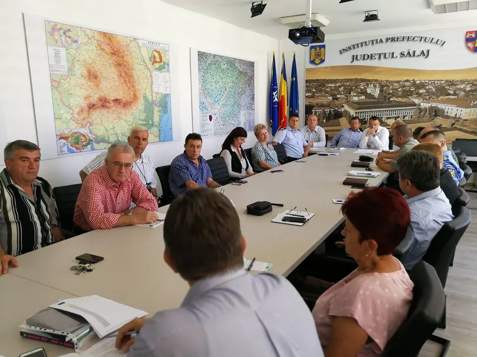 Autorităţile sălăjene iau primele măsuri de prevenire a pestei porcine