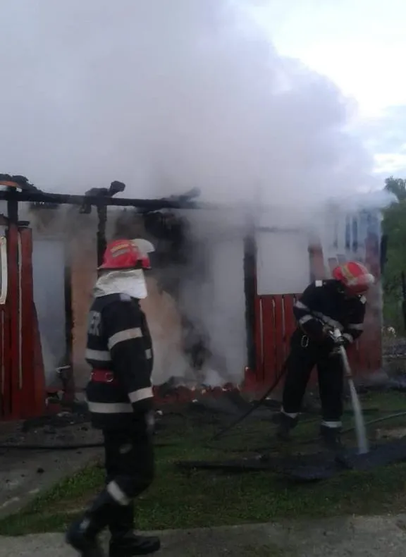 Un adăpost de animale, cuprins de flăcări