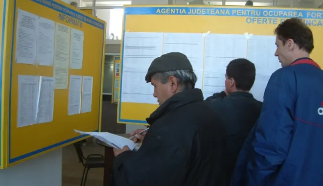 Piața muncii din Sălaj are 4.602 de șomeri. Cei mai mulți sunt cu studii primare