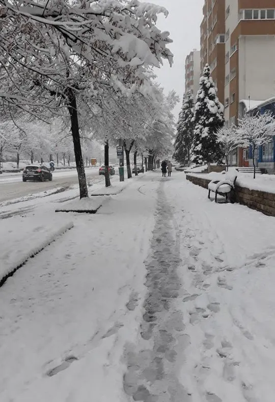 Zalăul are 155 de asistaţi social, apţi de muncă. Toţi sunt aşteptaţi la muncă în folosul comunităţii
