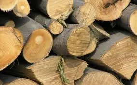 Material lemnos, vândut fără avize de însoţire