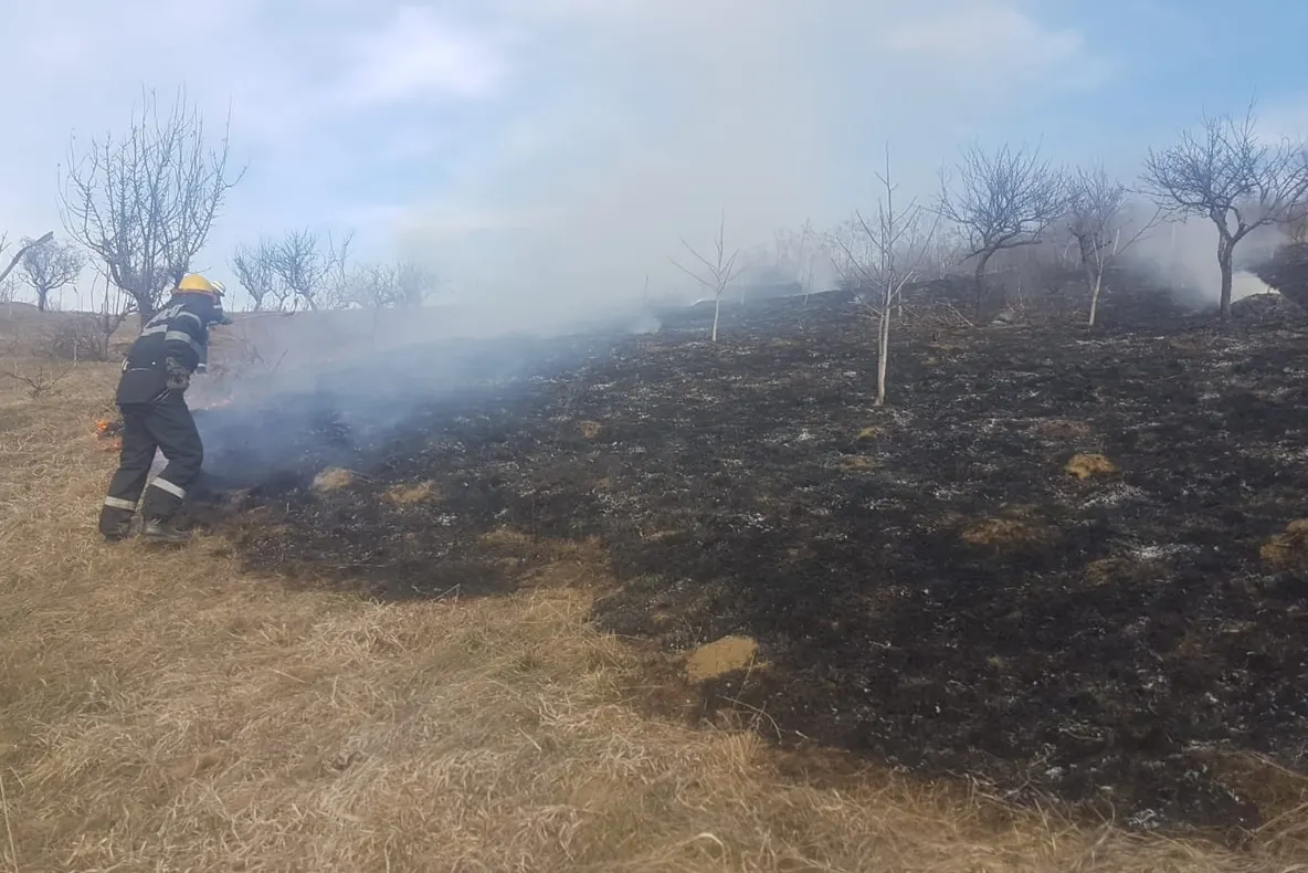 Incendiile de vegetație fac ravagii în Sălaj. Pompierii, solicitați la ''foc continuu''
