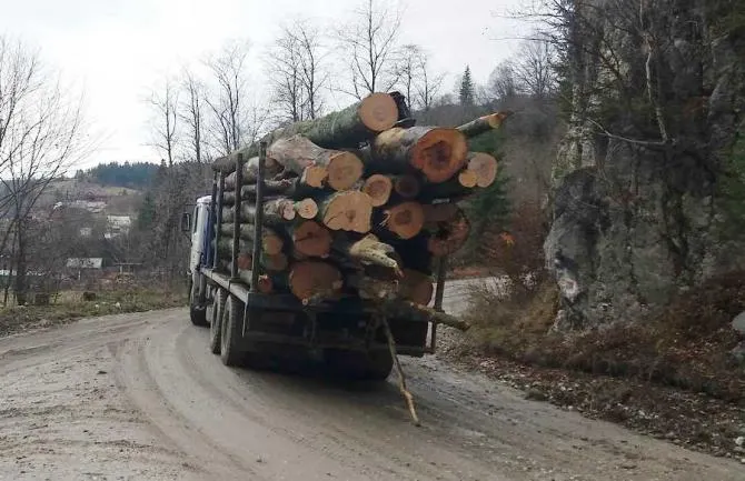 Pădurar din Sălaj, amendat cu 10.000 de lei