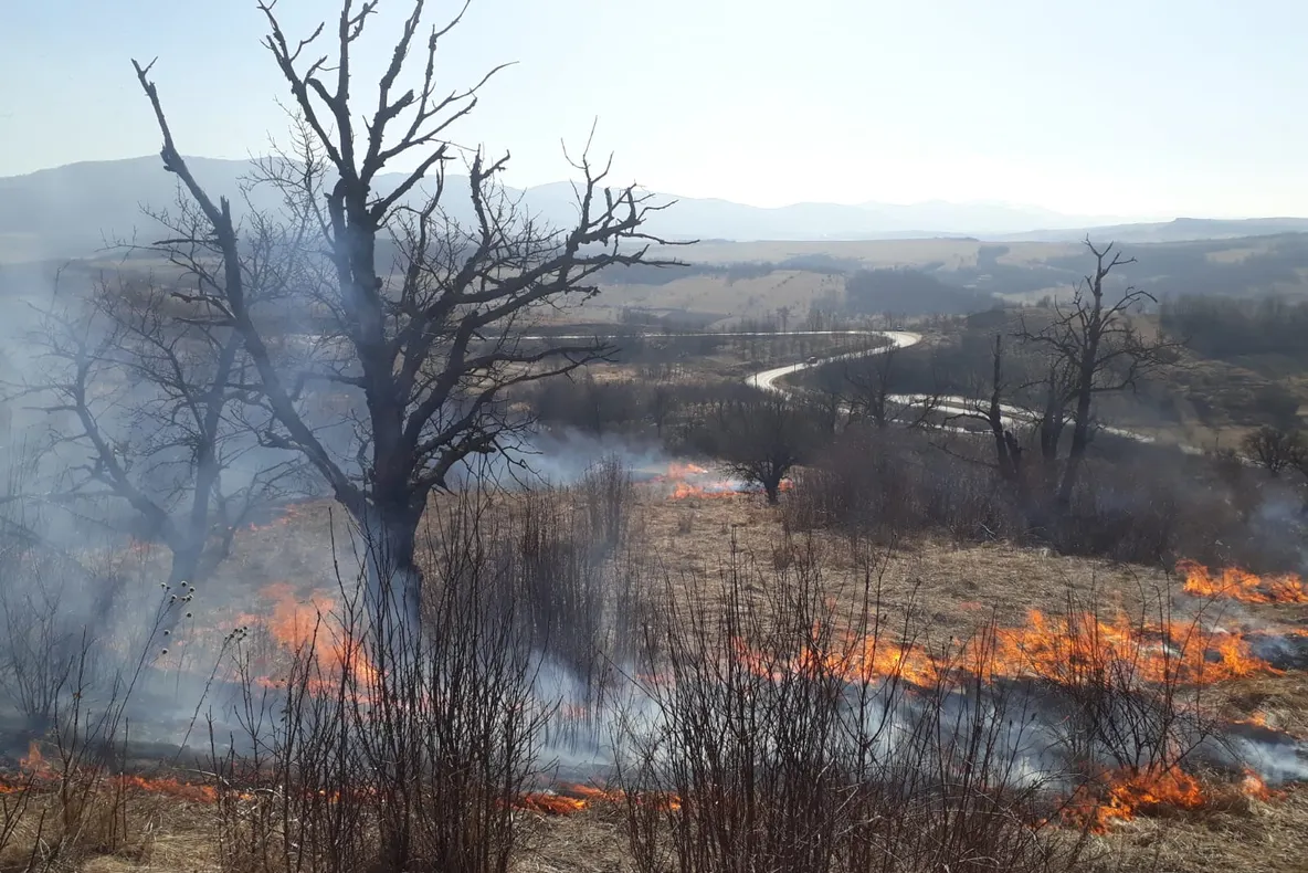 Incendiu de vegetație uscată la Voivodeni. Pompierii, chemați în ajutor