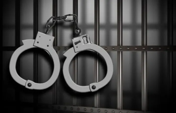 Doi bărbați din Mureș, reținuți de polițiștii sălăjeni. Sunt bănuiți de furt calificat