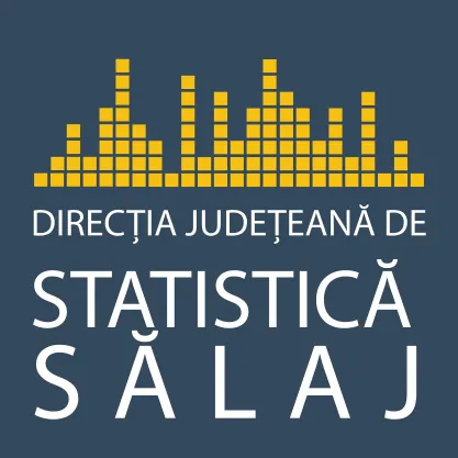 Funcția de director executiv al Direcţiei Judeţene de Statistică Sălaj, scoasă la concurs