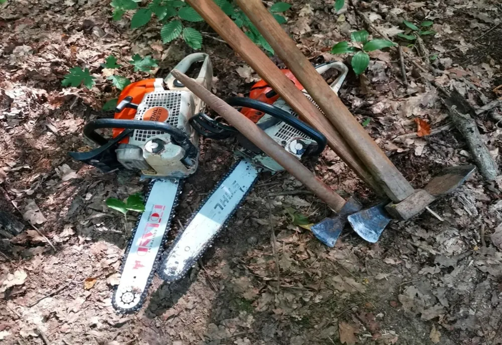 Patru sălăjeni, prinși în pădure tăind ilegal arbori, cu dosare penale
