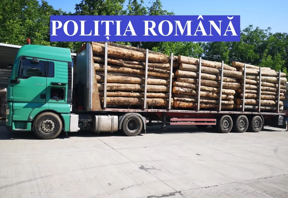 14 amenzi aplicate în Sânmihaiu Almaşului pentru delicte silvice 