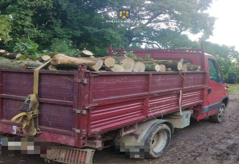 8 amenzi aplicate firmelor din domeniul silvic din Sălaj (FOTO)