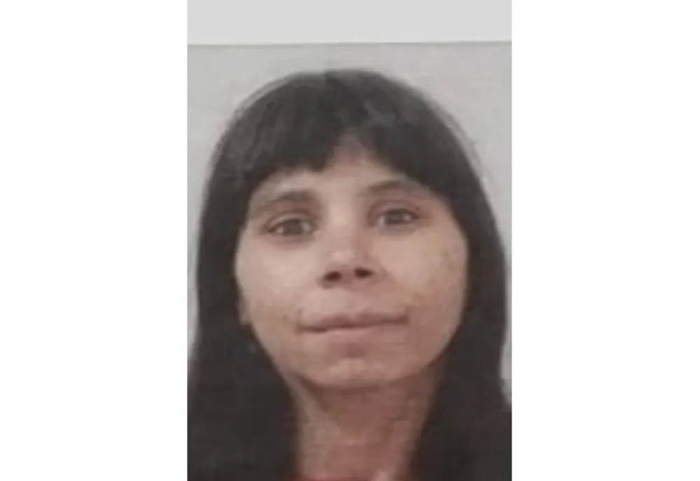 O femeie din Jibou, dispărută în iulie, este căutată de poliţişti