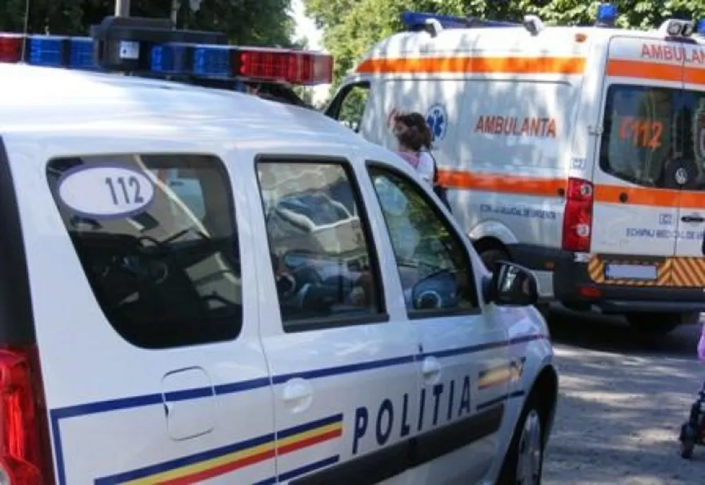 Grav accident în Sălaj! Un şofer a lovit cu maşina o turmă de oi: 21 de animale au murit