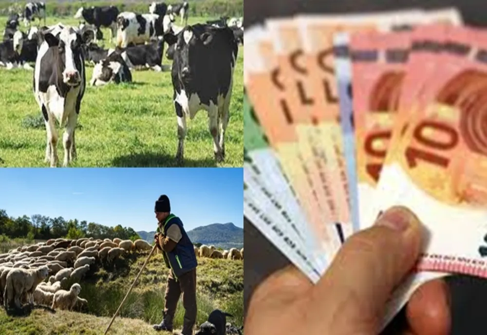 Sprijin financiar în valoare de peste 15,82 milioane lei pentru crescătorii de animale