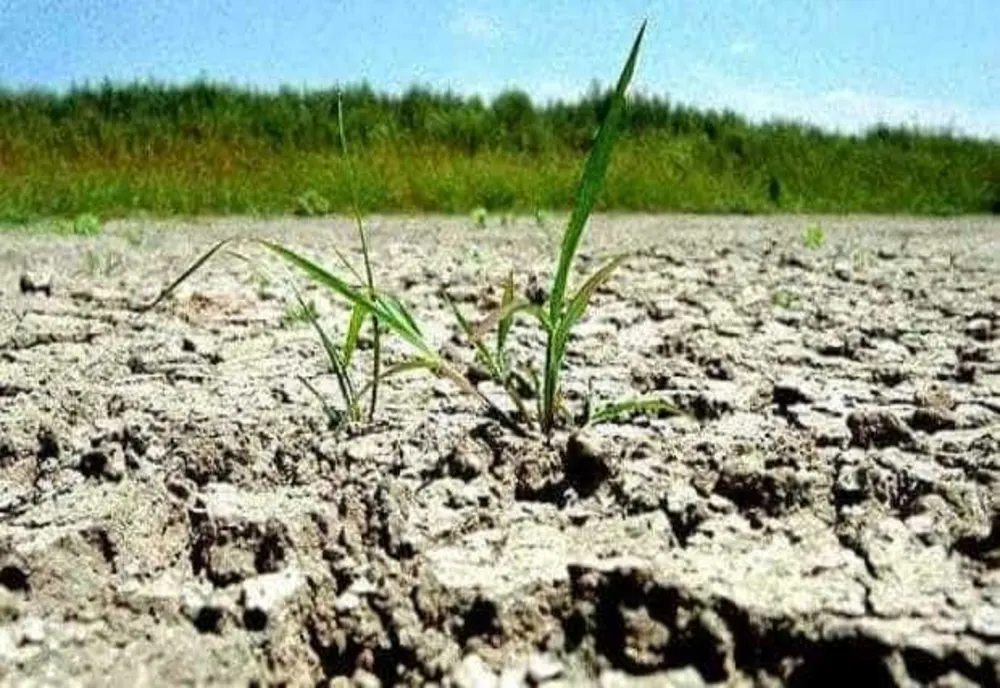 TURCIA SE CONFRUNTĂ CU CEA MAI GRAVĂ SECETĂ DIN ULTIMII 50 DE ANI