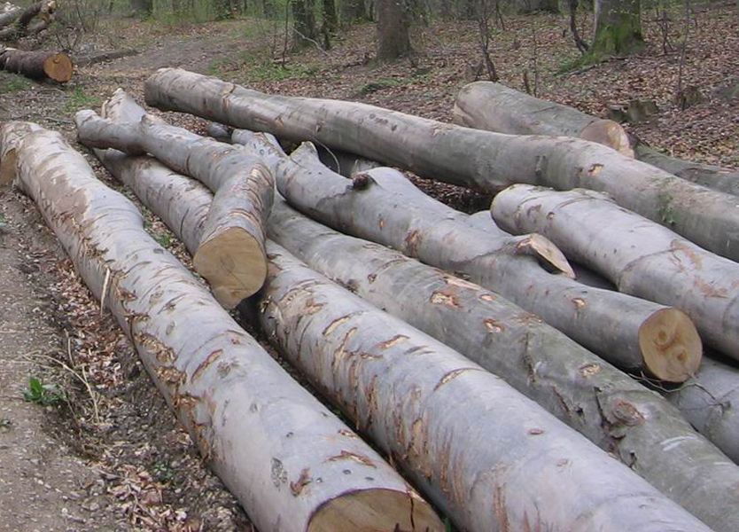 Amenzi şi lemn confiscat în Sălaj