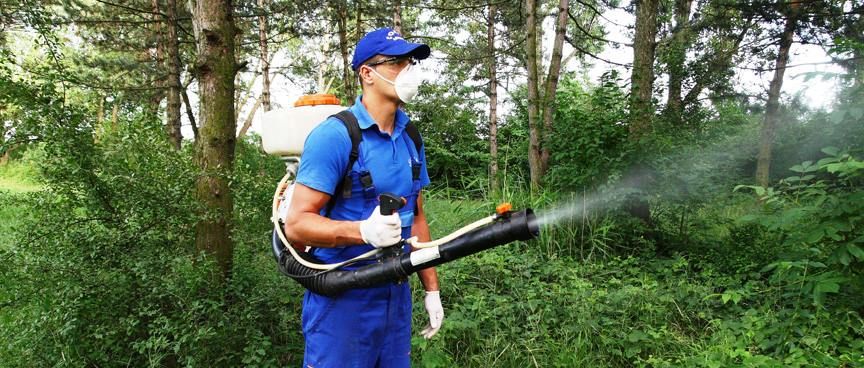 La Zalău începe deratizarea, dezinsecția și dezinfecția!