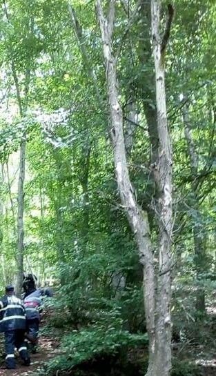 Tragedie într-o pădure din apropierea localității Fodora. Copacul pe care l-a tăiat a căzut peste el