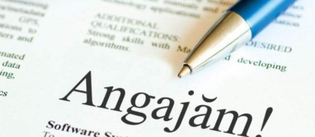 Persoanele cu studii medii, cele mai căutate pe piaţa muncii din judeţ