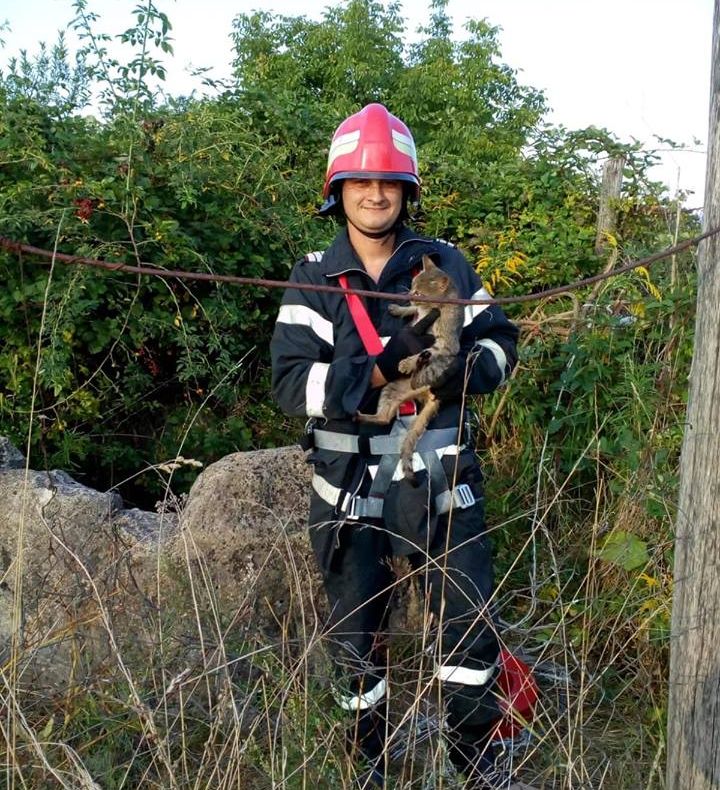 Pisică căzută într-o fântână,  salvată de pompieri