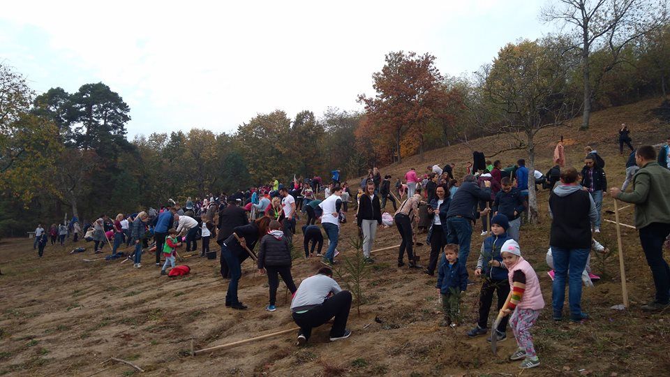 Proiect inedit de Centenar: 100 de ani, 100 de copii, 100 de copaci - acasă la Iuliu Maniu