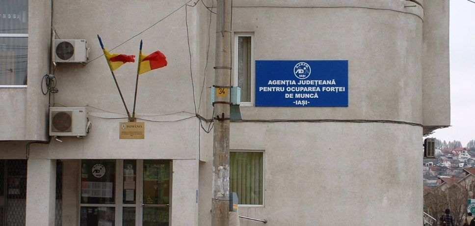 Persoanele cu minimum opt şi zece clase sunt cele mai căutate de angajatorii sălăjenii