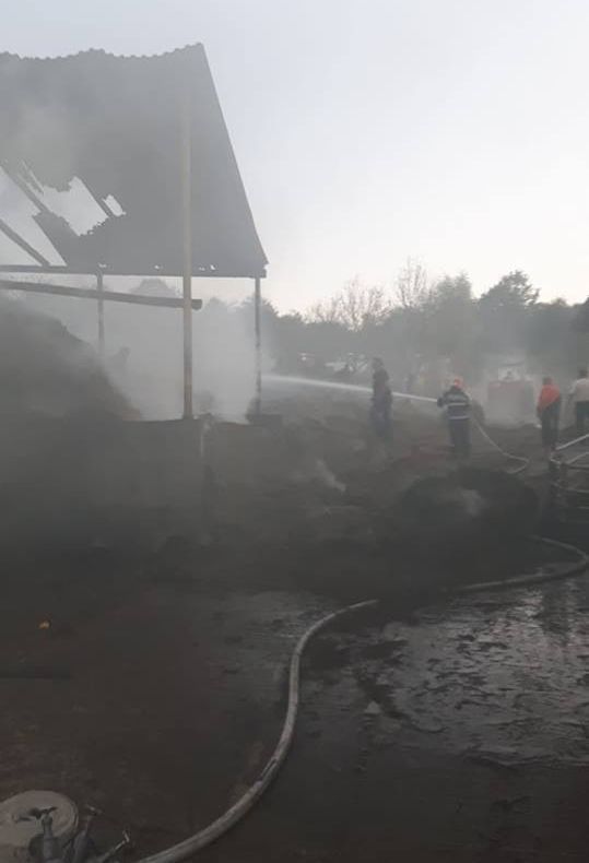 S-au jucat cu focul și au incendiat o gospodărie