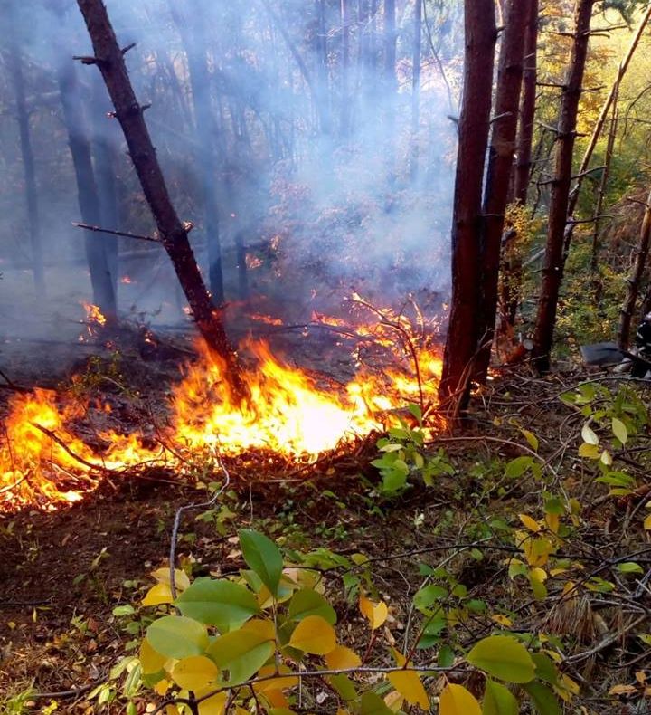 Atenţie la arderea vegetaţiei uscate! Şase incendii în câteva ore