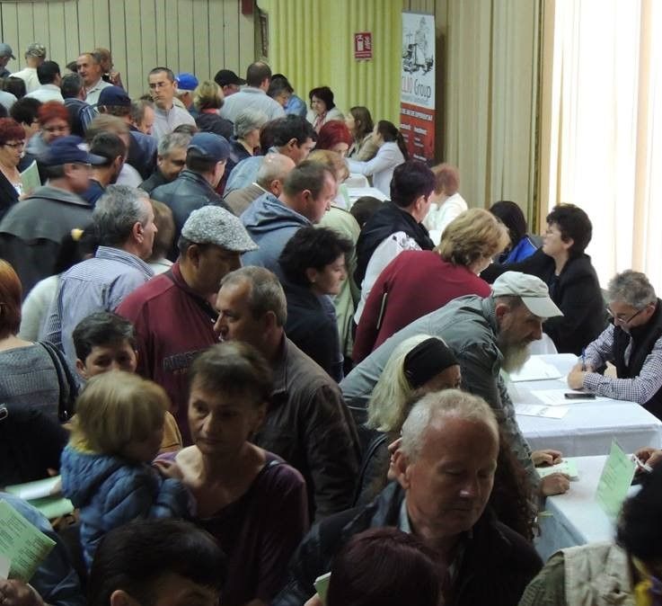 Aproape 50 la sută din şomerii Sălajului sunt fără studii sau cu studii primare