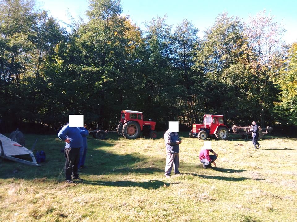 Amendați de jandarmi pentru că transportau lemne fără acte