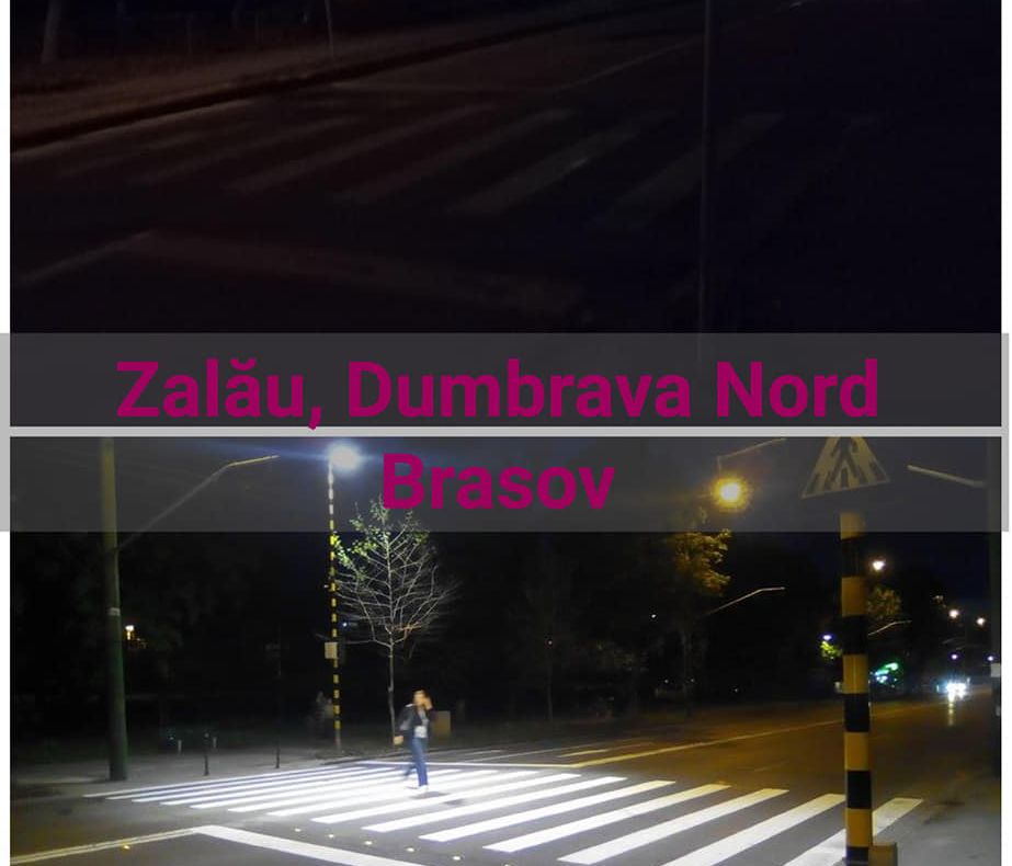 Siguranța cetățenilor, pe primul plan! USR Sălaj vrea: ''Treceri de pietoni sigure în Municipiul Zalau – Supra iluminarea trecerilor de pietoni''