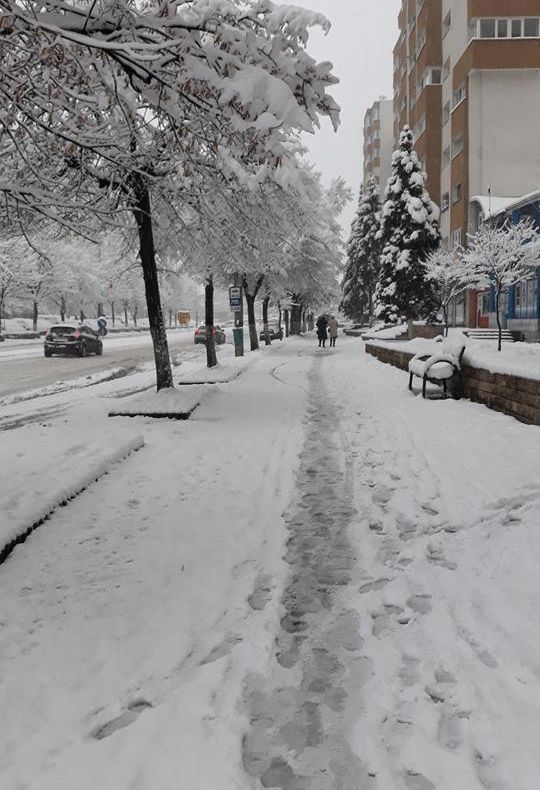 Zalăul are 155 de asistaţi social, apţi de muncă. Toţi sunt aşteptaţi la muncă în folosul comunităţii