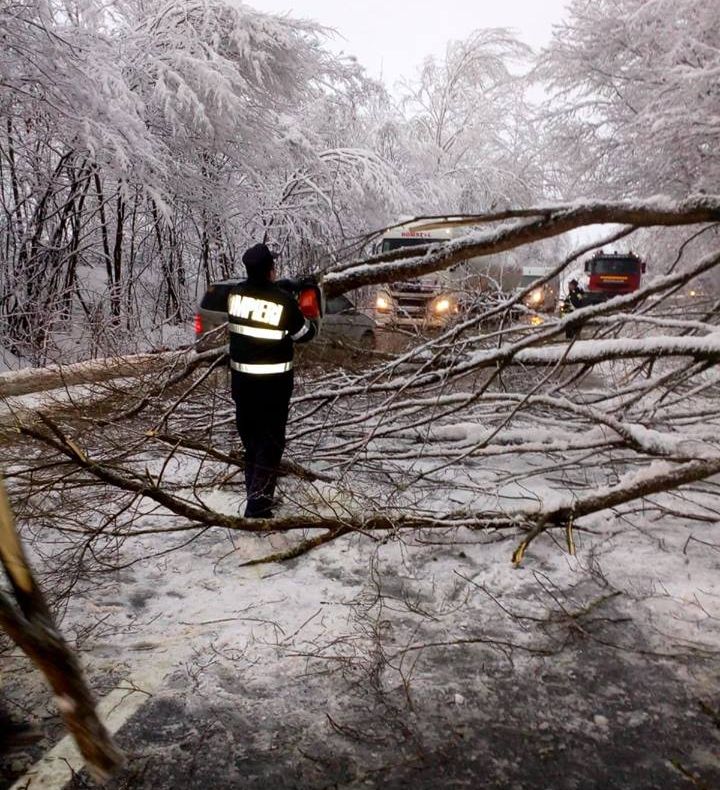 Pe DN 1 C între localităţile Rus şi Ileanda: copaci şi stâlpi de telefonie căzuţi pe carosabil. Circulaţia rutieră, blocată