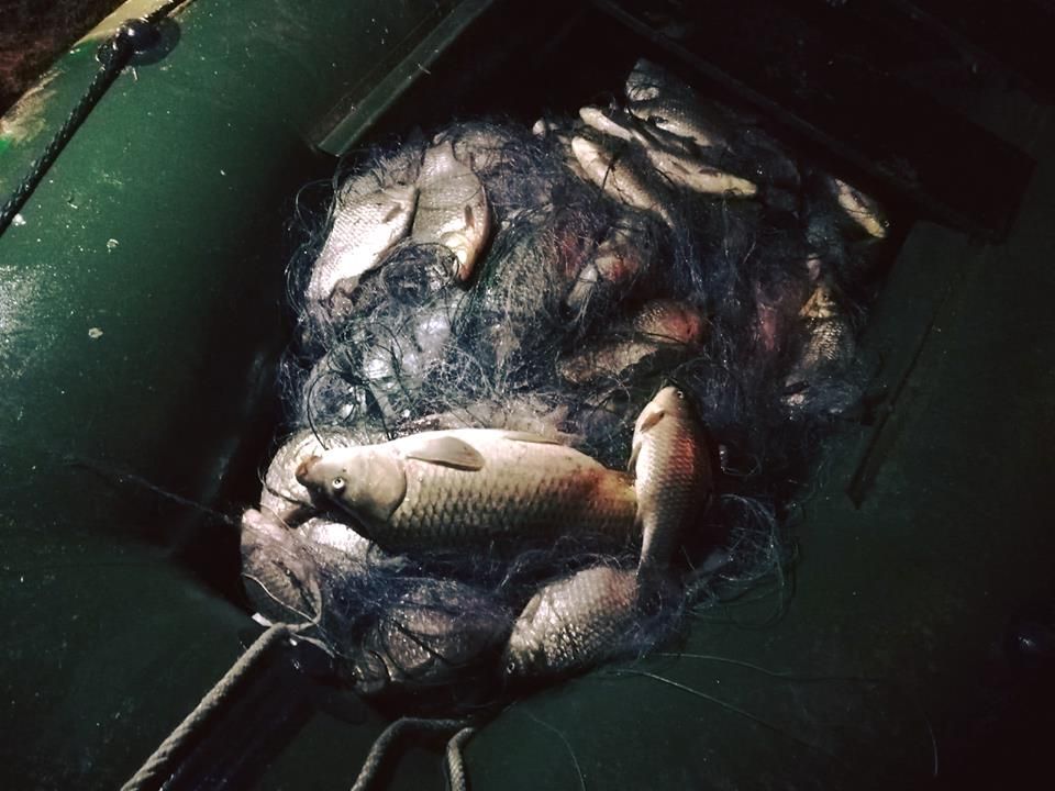 Braconaj la barajul Vârşolţ. Doi bihoreni, prinşi de jandarmi cu o captură de peste 140 de kilograme de peşte