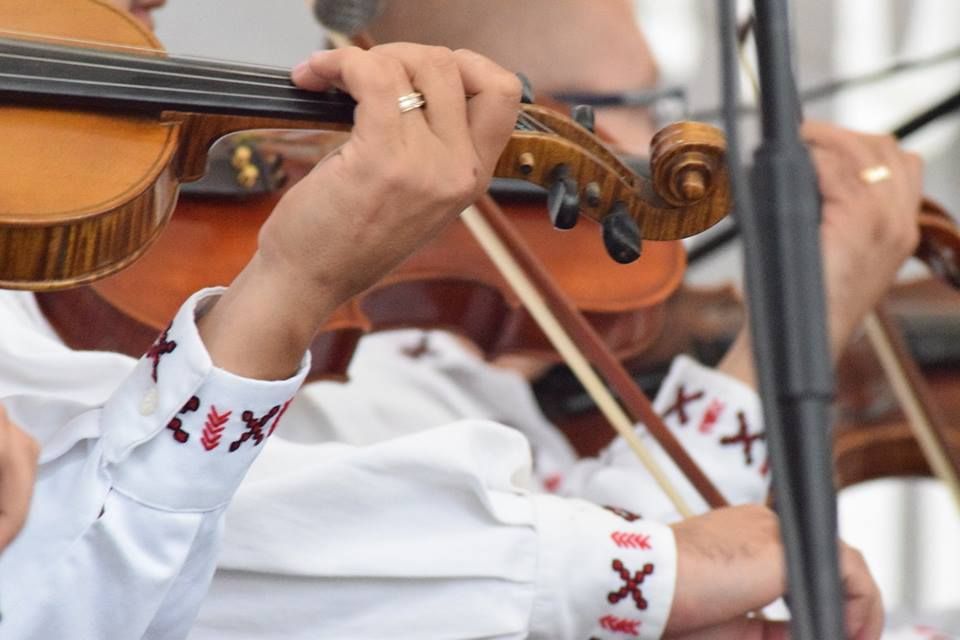 La Centrul de Cultură: se caută tineri instrumentişti pentru înfiinţarea unei orchestre de muzică