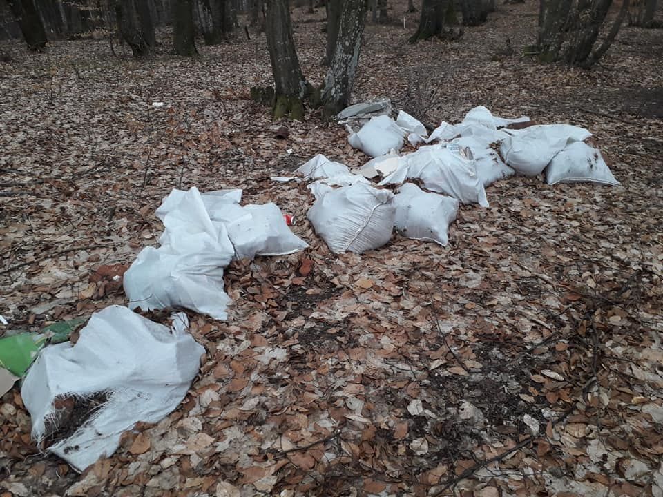 A început ''Luna Curățeniei de Primăvară''. Zalăul intră în curăţenie generală