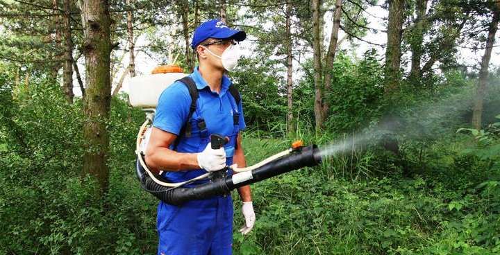 La Zalău au început acţiunile de: dezinsecție, deratizare și dezinfecție