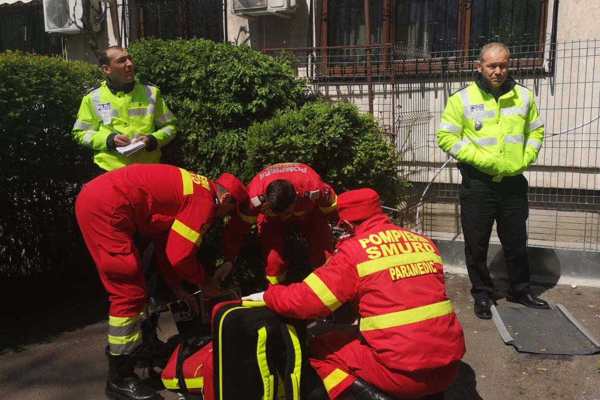 Incendiu de proporții la un adăpost de animale. Zeci de vaci și viței au pierit în flăcări