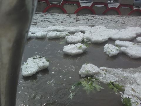 Se face centralizarea dezastrului provocat de grindină. Zălăuanii, așteptați cu dovada pagubelor la sediul Primăriei Zalău