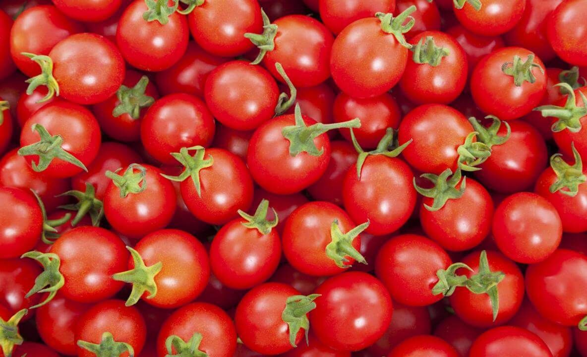 Prima recoltă de tomate din acest an în Sălaj, prin ''Programul minimis''. Ajutorul, 3.000 de euro pentru un beneficiar