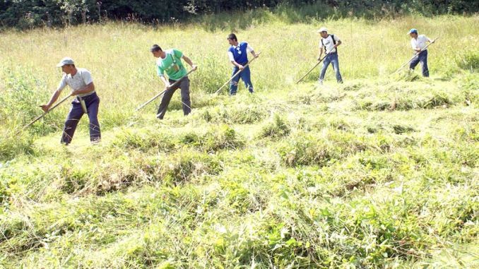 Inspectoratul Teritorial de Muncă Sălaj: modificări în munca prestată cu zilieri