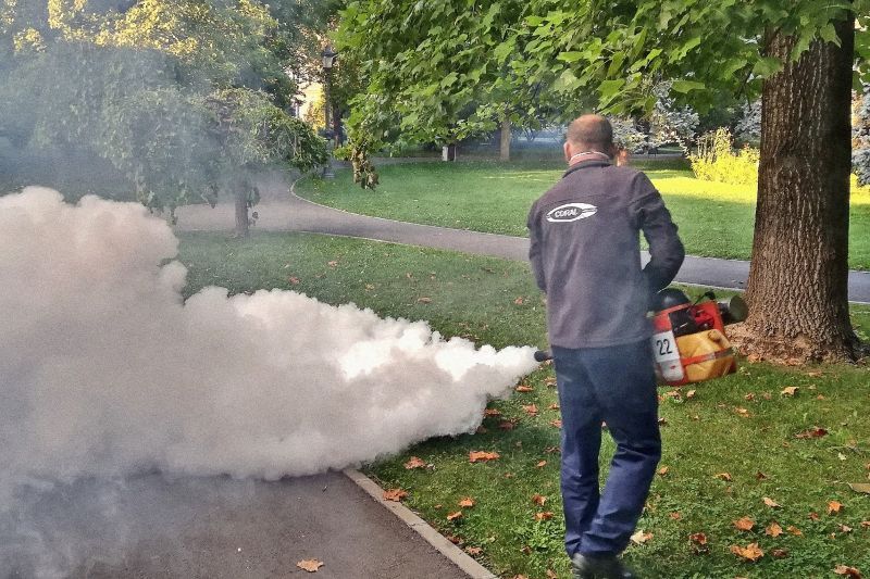 La Zalău a început dezinsecția. Acțiunea va dura trei zile