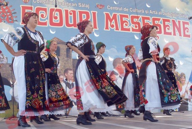 Se caută voluntari pentru Festivalul ''Ecouri meseșene''