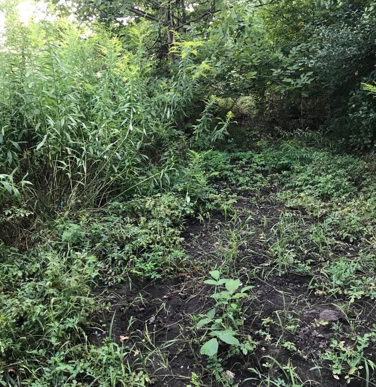 Traseu deviat pentru o linie de autobuz din municipiu