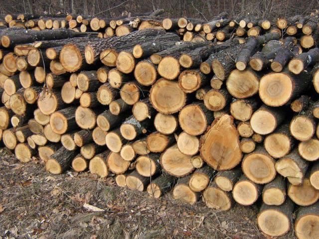 La Zalău: metrul cub de lemn se vinde cu 200 de lei