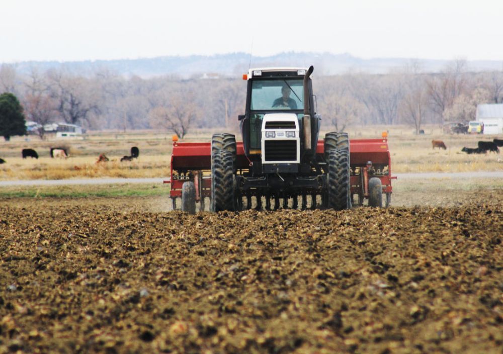 Vești bune pentru fermieri! Plăți în avans pentru campania agricolă 2019
