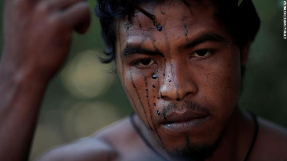 Victimele tăierilor ilegale de lemne - un fenomen global