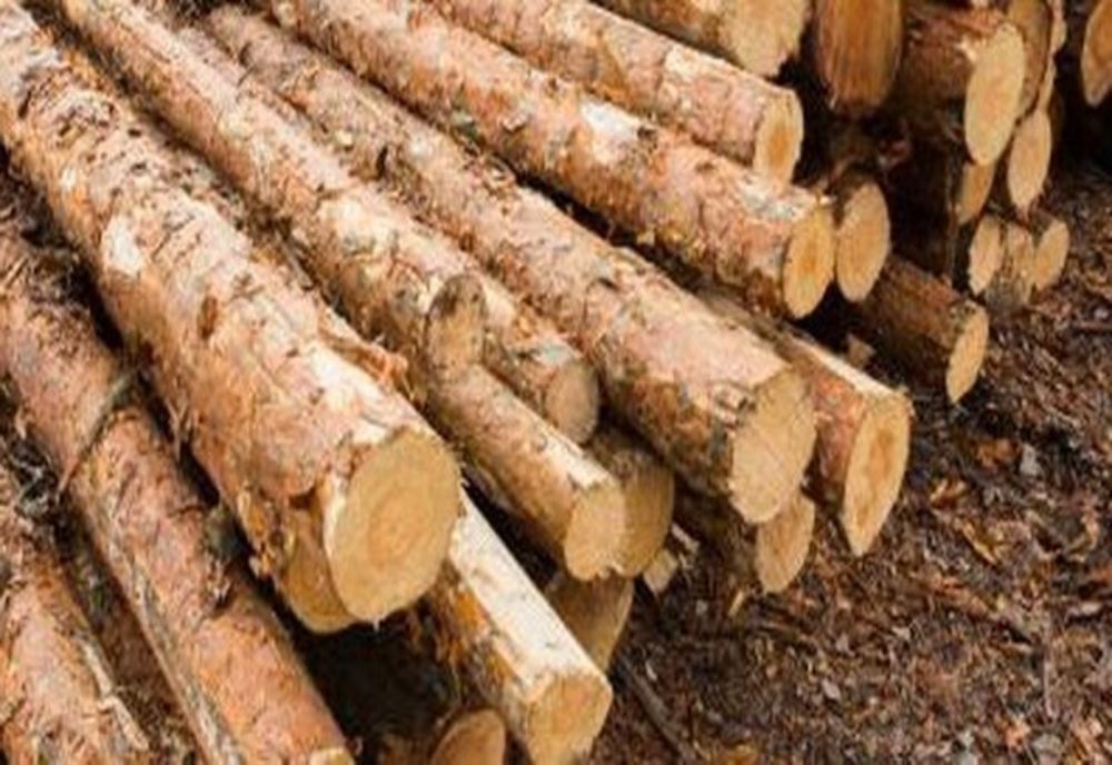 Mii de controale efectuate de Romsilva pe perioada stării de urgență