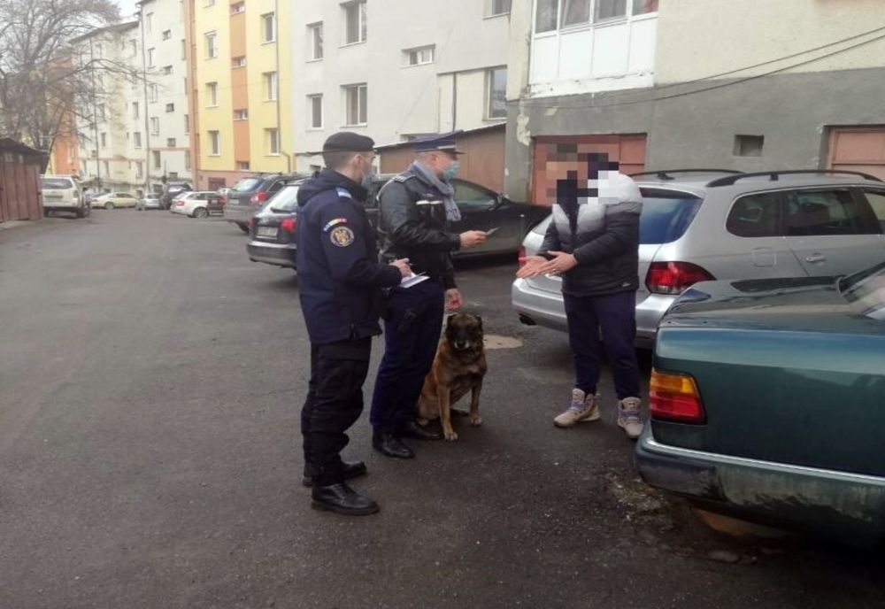 Polițiștii din Zalău au început patrulările cu câinele de serviciu
