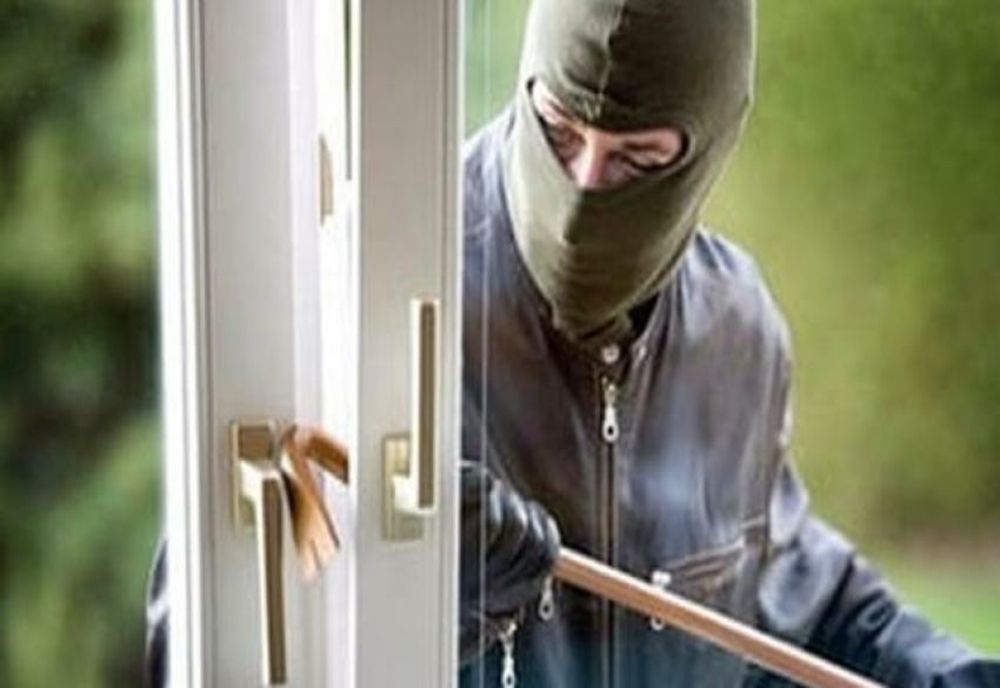 Acțiune de amploare a polițiștilor din Sălaj! 12 hoți au fost prinși